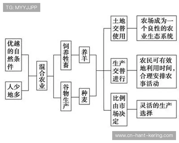 《探索电竞产业崛起之路：技术创新与全球化竞争推动未来发展》
