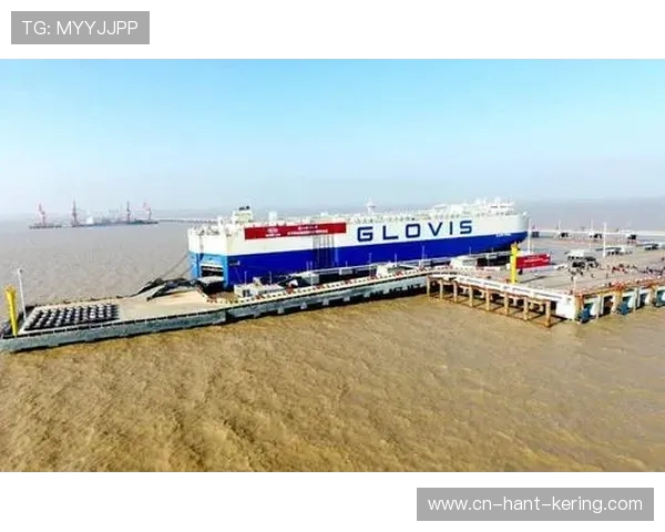 盐城大丰港战队奋力拼搏创佳绩 助力地方经济发展与体育事业崛起