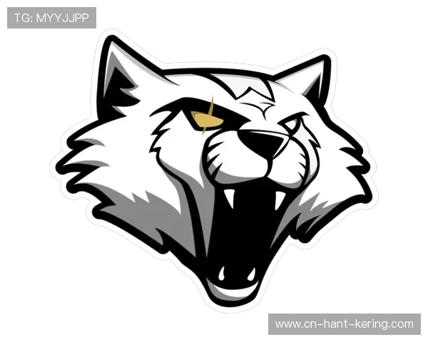 FPX战队中路突破战术解析及其对CSGO比赛的影响