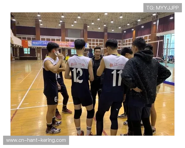 排球盛宴：深入解析西安排球队的战术与技术创新之路